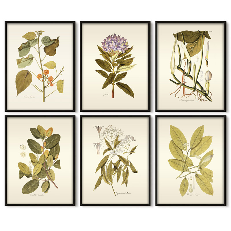 Office Furniture York - Peinture d'art mural de plantes herbacées,