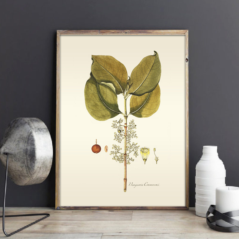 Peinture d'art mural de plante - Office Furniture York avis et prix