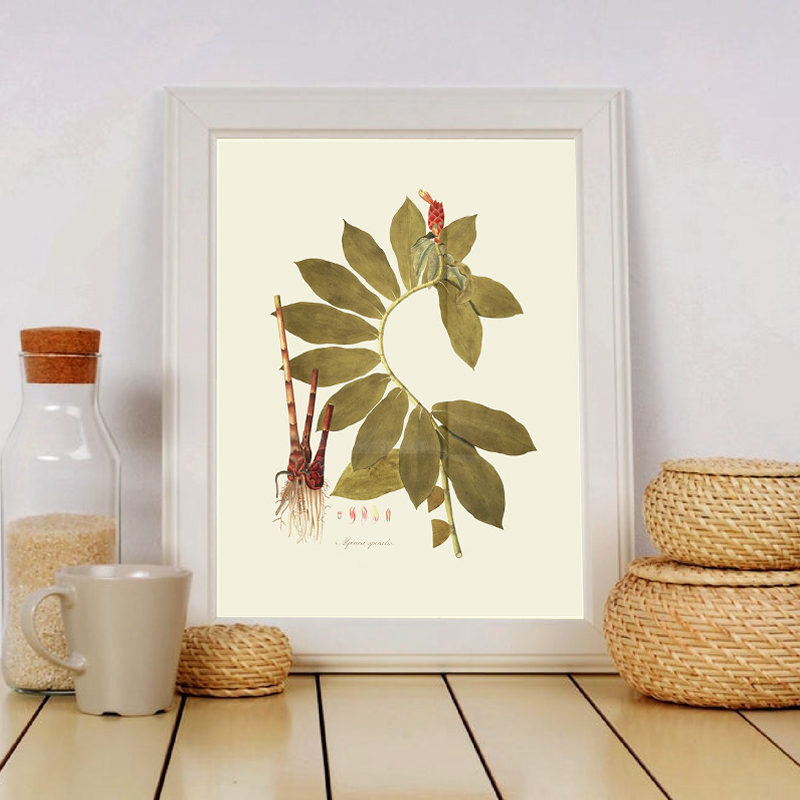 Peinture d'art mural de plante - Office Furniture York avis et prix
