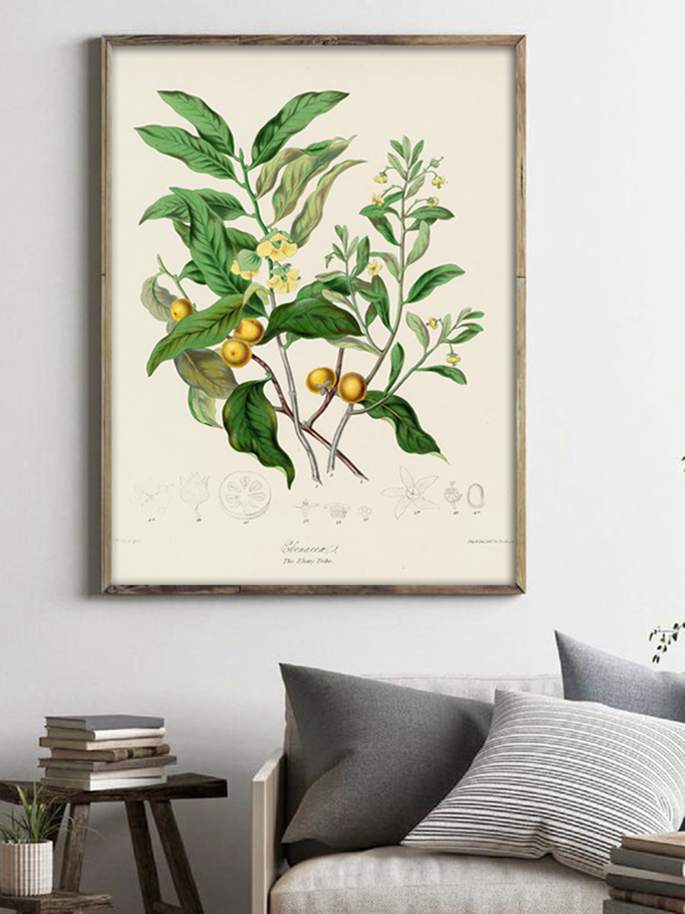 Peinture d'art mural de plante - Office Furniture York avis et prix